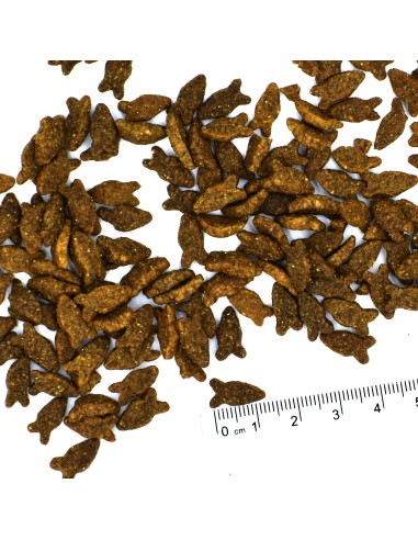 CAT ADULT ŁOSOŚ 10kg