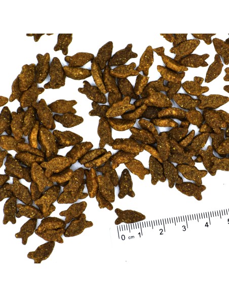 CAT ADULT ŁOSOŚ 400G