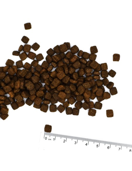 CAT BWILD GRAIN FREE STERILISIERTER THUNFISCH MIT ERBSEN 1,5kg