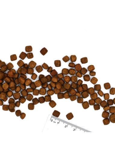 VETSOLUTION CAT-GASTROINTESTINAL 1,5KG