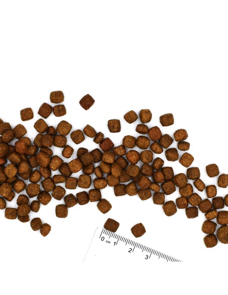 VETSOLUTION CAT-GASTROINTESTINAL 1,5KG