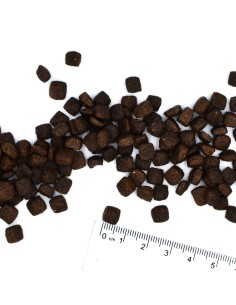 BWILD GRAIN FREE PUPPY KACZKA Z ZIEMNIAKAMI 2,5KG 2