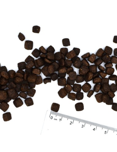 BWILD GRAIN FREE PUPPY KACZKA Z ZIEMNIAKAMI 12KG