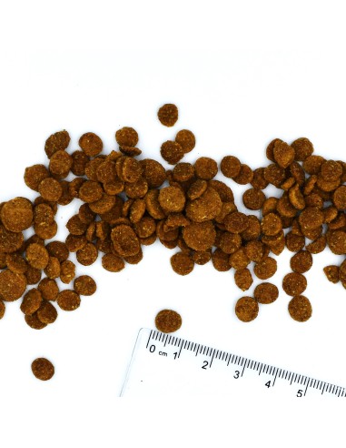 CAT STERILISED KACZKA 1,5kg