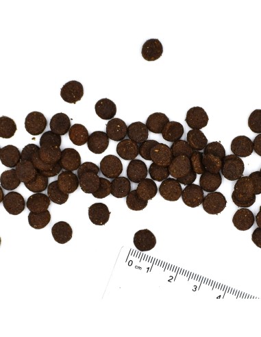 BWILD PUPPY DEER 2.5 kg