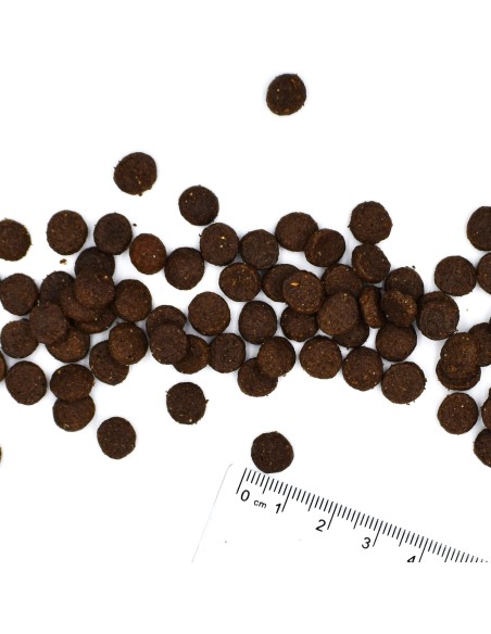 BWILD PUPPY REH 12kg