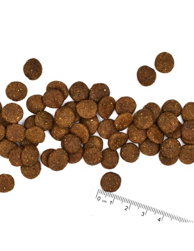 PUPPY & JUNIOR MEDIUM 12KG