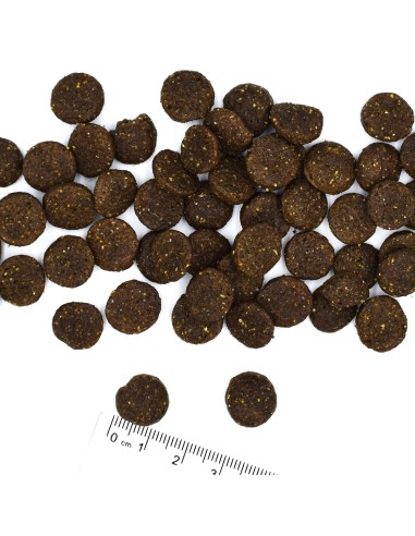 DOG ADULT LAMB MIT REIS UND KARTOFFELN 2,5 kg