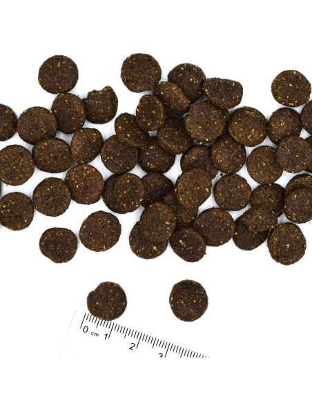 DOG ADULT JAGNIĘCINA Z RYŻEM I ZIEMNIAKAMI 2,5KG