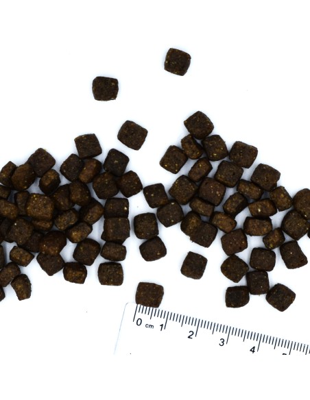 MINI ADULT ŁOSOŚ Z RYŻEM 2,5KG