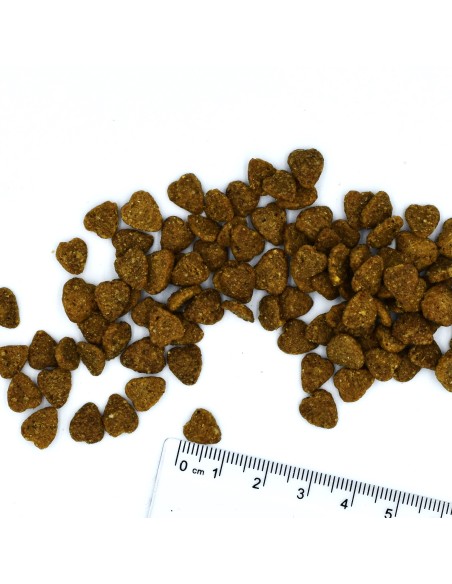 CAT INDOOR KURCZAK 400G