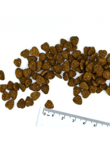 CAT INNENHÜHNCHEN 1,5 kg