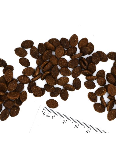 CAT BWILD ADULT ANCHOIS (szprotki) 1,5kg