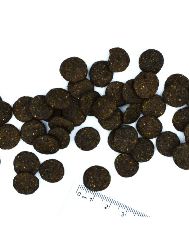 DOG LIGHT ŁOSOŚ Z RYŻEM 2,5KG