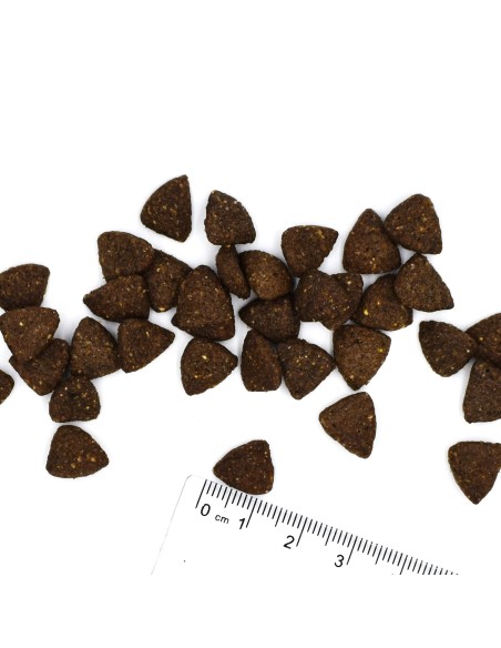 MONGE MEDIUM SENIOR 3KG