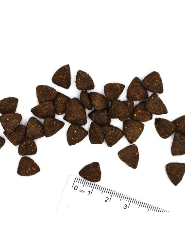 DOG SENIOR MEDIUM CHICKEN 12 kg