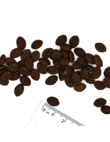 CAT BWILD ADULT ZAJĄC 1,5kg