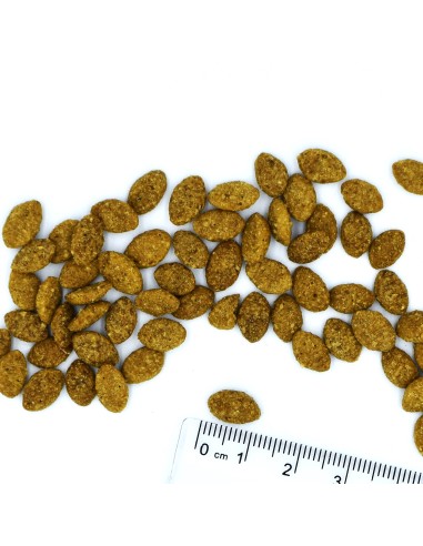 CAT LIGHT INDYK 1,5KG