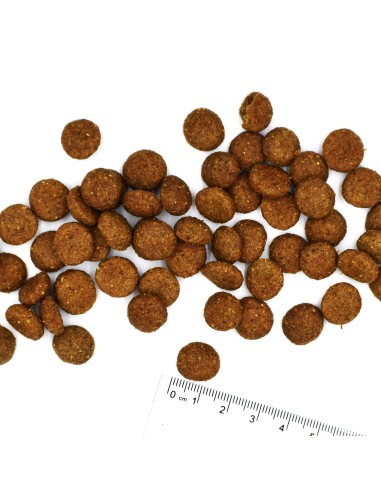 OUTLET DOG ADULT PORK WITH RICE AND POTATOES 2.5KG