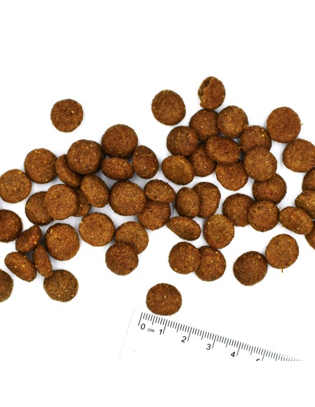 OUTLET DOG ADULT PORK WITH RICE AND POTATOES 2.5KG