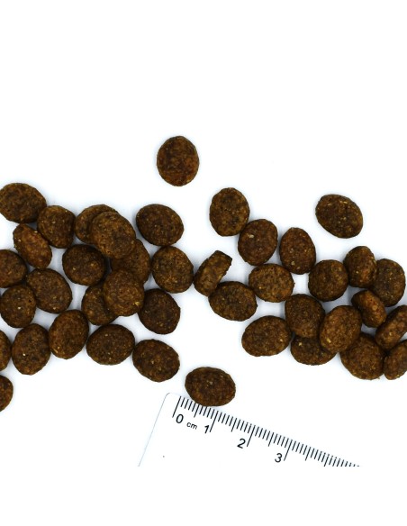 VETSOLUTION DOG-DERMATOSIS 12KG