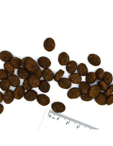 VETSOLUTION DOG-DERMATOSIS 2KG