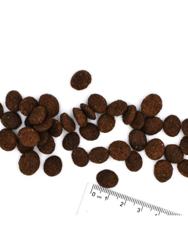 BWILD ADULT EBER 2,5 kg