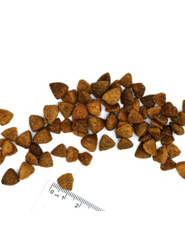 VETSOLUTION DOG HEPATIC 12KG