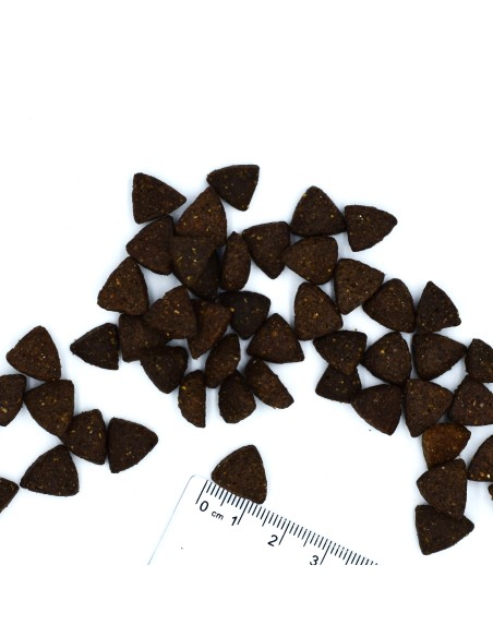 DOG ADULT TRUTHAHN 2,5KG