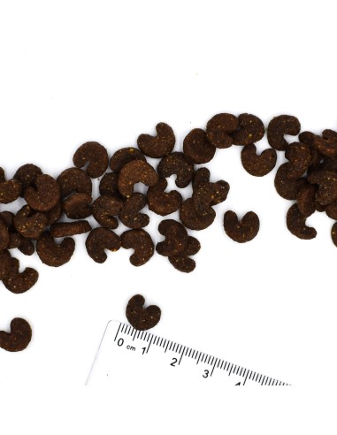 DOG ADULT KRÓLIK Z RYŻEM I ZIEMNIAKAMI 2,5KG