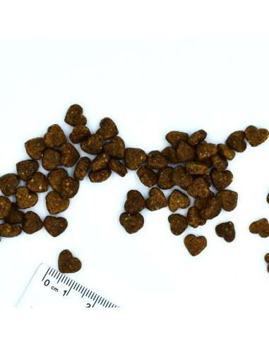 CAT HAIRBALL KURCZAK 400G
