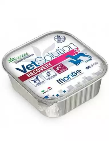 OUTLET MONGE VETSOLUTION DOG RECOVERY 150G