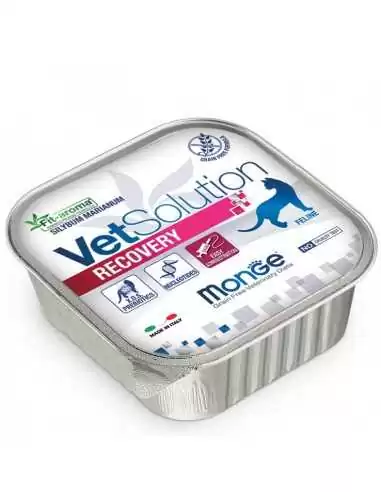 OUTLET MONGE VETSOLUTION CAT-RECOVERY 100G