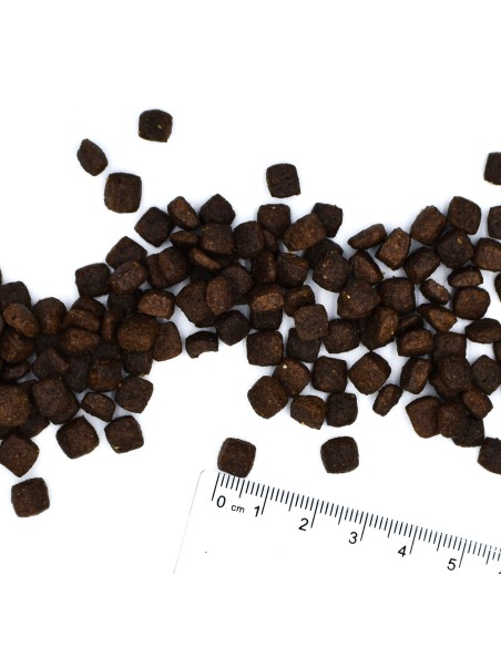 OUTLET BWILD GRAIN FREE PUPPY KACZKA Z ZIEMNIAKAMI 2,5KG