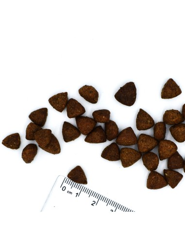 VETSOLUTION DOG-RENAL 12KG