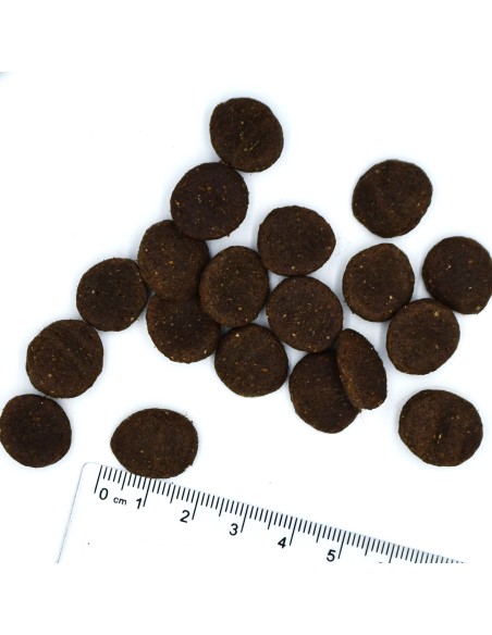 BWILD GRAIN FREE JAGNIĘCINA Z GROSZKIEM I ZIEMNIAKAMI 12KG