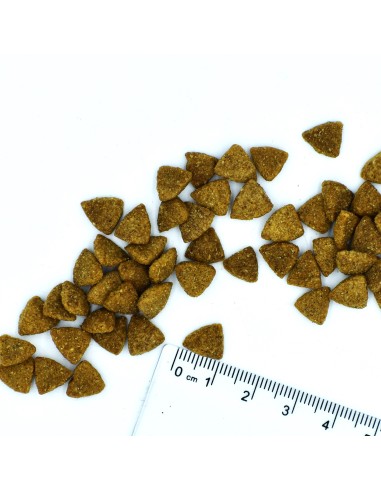 CAT STERILISIERTE RINDFLEISCH 1,5 kg