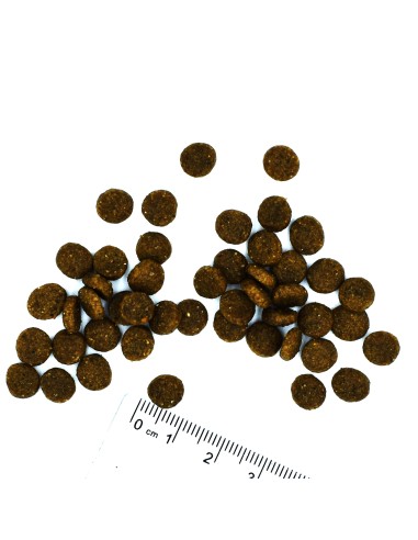OUTLET KITTEN TROUT 1,5 kg