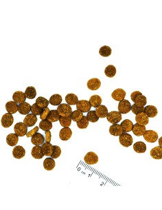 OUTLET2 CAT STERLISED TROUT 400g 2