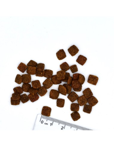 OUTLET VETSOLUTION CAT-URINARY OXALATE 400G