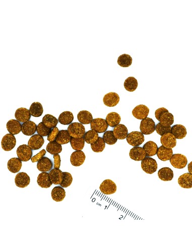 OUTLET CAT STERLISED TROUT 1.5kg