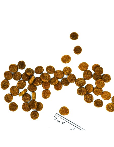 OUTLET CAT STERILISED PSTRĄG 1,5kg