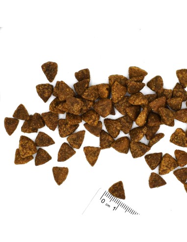 CAT BWILD GRAIN FREE DORSZ Z ZIEMNIAKAMI I...