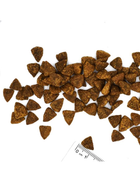 CAT BWILD GRAIN FREE COD MIT KARTOFFELN UND OBJEKTIV 1,5 kg