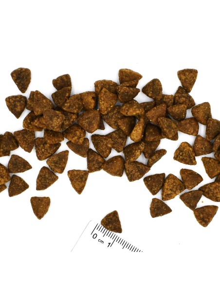 OUTLET VETSOLUTION DOG-GASTROINTESTINAL 12KG