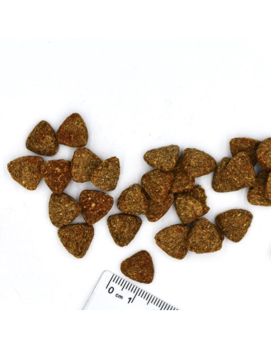 VETSOLUTION DOG-DIABETIC 12KG