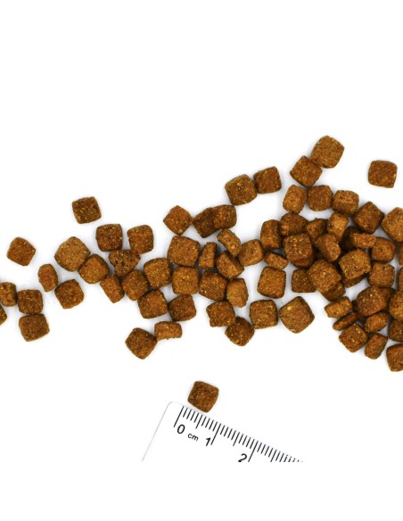 VETSOLUTION CAT-DERMATOSIS 1,5 kg