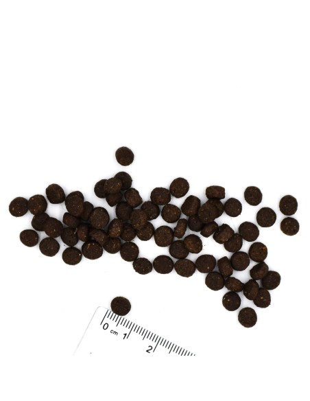 OUTLET MINI STARTER 15KG