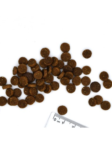 BWILD KITTEN GANS  1,5 kg