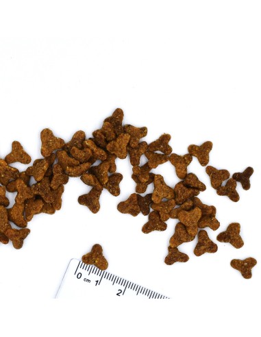 CAT SENIOR KURCZAK 1,5KG